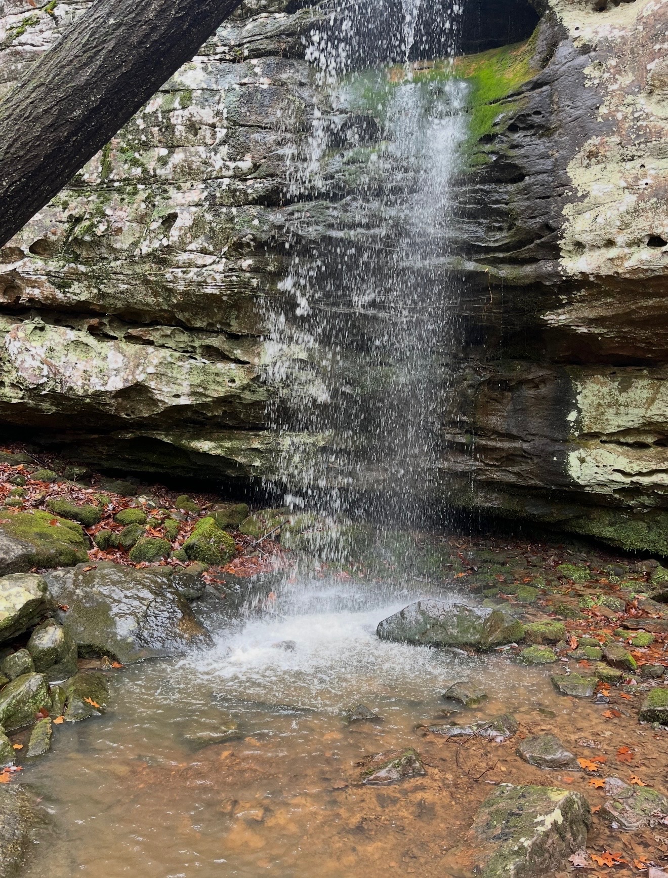 Hidden falls in the Shawnee